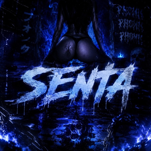 MONTAGEM (SENTA)
