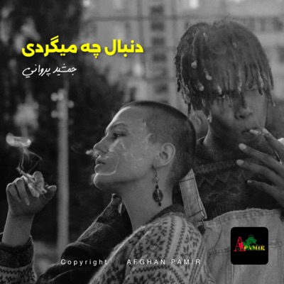 FAHIM PARWANI - دنبال چه میگردی - جمشید پروانی  آهنگ های مجلسی قطغنی