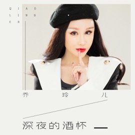 深夜的酒杯 (DJ沈念版) 乔玲儿