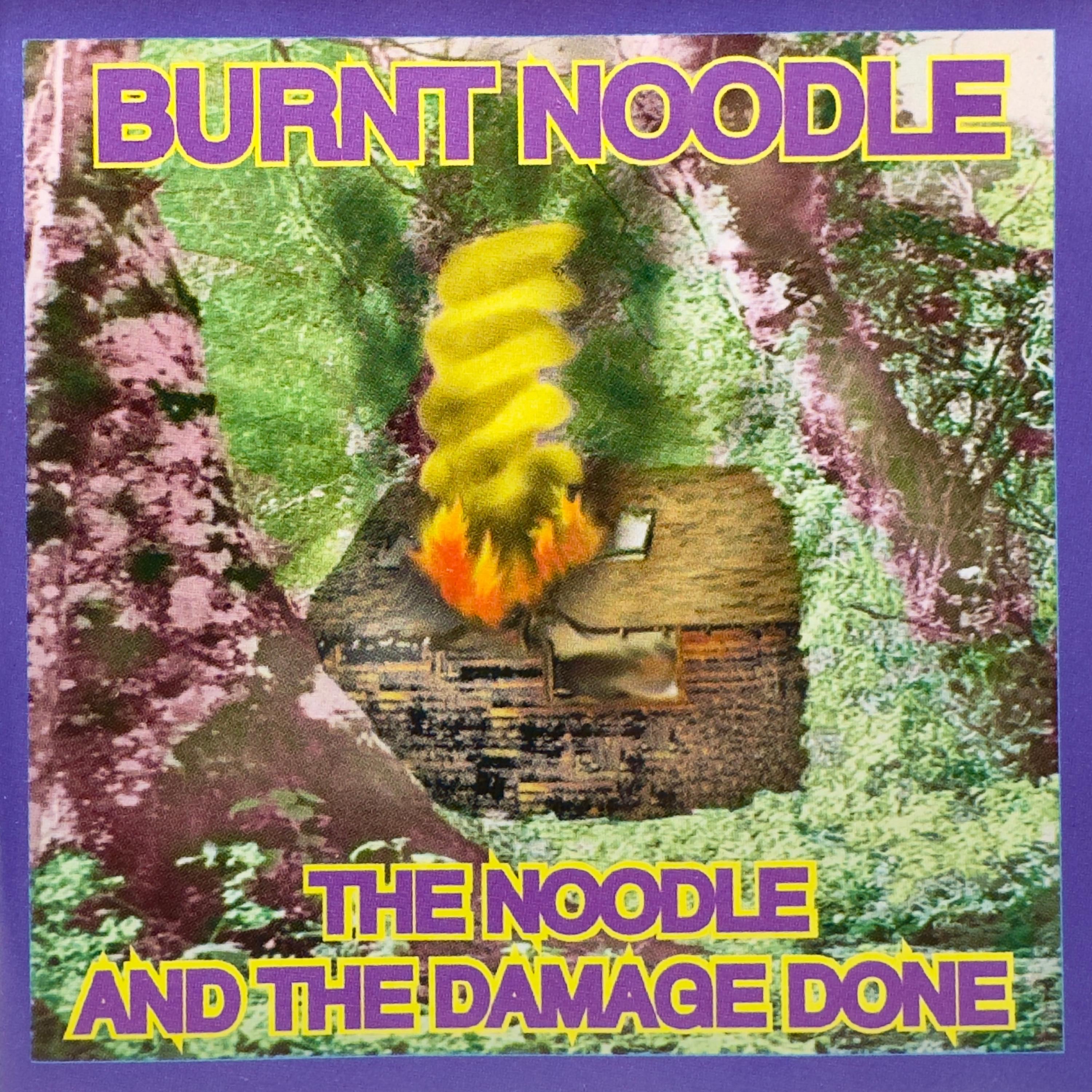 The Noodle And The Damage Done