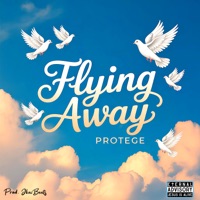 Flying Away - Single - Protege