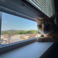 Hey big head RMX - Single - 2napps