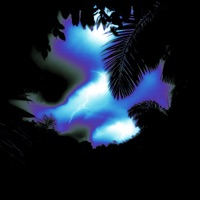 WINGS - Single - Rihanno & DANNEE