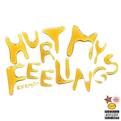 Hurt My Feelings - Single