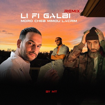 Li Fi Galbi - Single