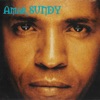 Amar Sundy