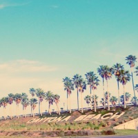 Daytona - Single - Nic D & Vwillz