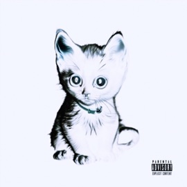 Here kitty kitty Toni Chambers