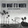 For What It's Worth - Hootie & The Blowfish