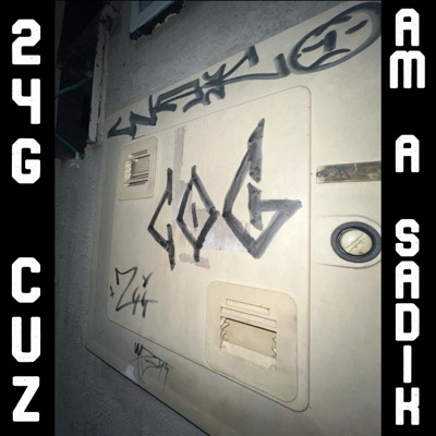 24g Cuz am a Sadik - Single