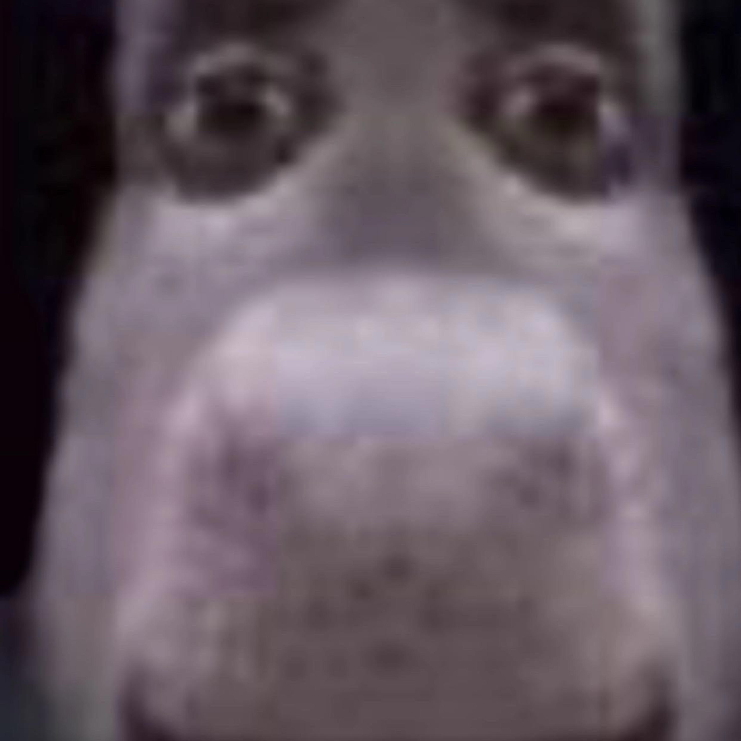 COMMODO-Deep Harbour (Misty Bay Mix)feat. Alfa Mist