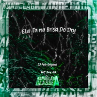 Ela Ta na Brisa do Dry - Single - DJ FEFE ORIGINAL & Mc Boy Gr