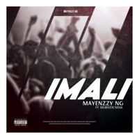 Imali (feat. Selbisticsoul) - Single - Mayennzy NG