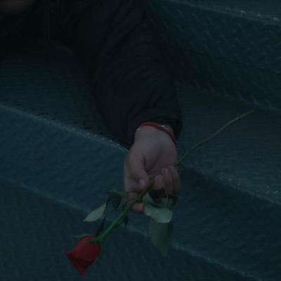 Feelings - Single