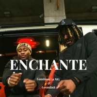 ENCHANTE (feat. Gambino La MG) - Single - Gremlin$