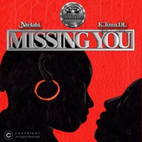 Missing You (feat. Ntelabi & K Town DL) - Single - Savannah Sonics