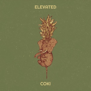 Elevated - Single