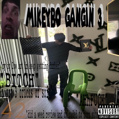 Mikeybo Gangin 3