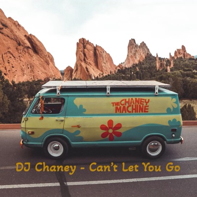 Can't Let You Go - Single