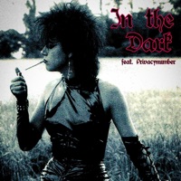 In the Dark (feat. PrivacyNumber) - Single - Lil Sinik