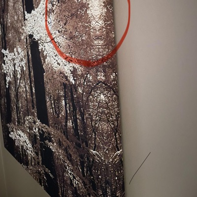 Lamb freestyle - Single