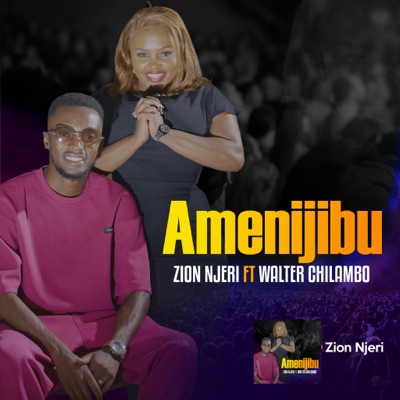 Amenijibu (feat. Walter Chilambo) - Single