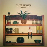 Slow Leaves — Autumn Rain
