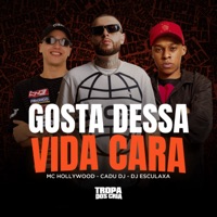 Gosta Dessa Vida Cara (feat. MC Hollywood) - Single - Cadu DJ & Dj Esculaxa