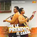 Héctor Gélvez y los Chamos (Video Lyric)