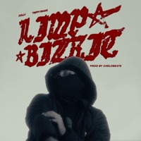 Limp Bizkit - Dolly, CheloBeats & Trippy Snake