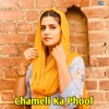 Chameli Ka Phool - Single