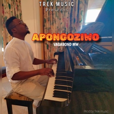 Apongoziwo - Single