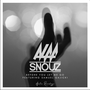 Before You Let Me Go (feat. Samuel Gajicki)