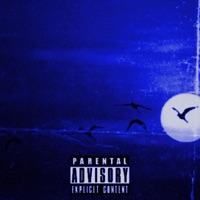 Birds of a Feather - Single - Stana