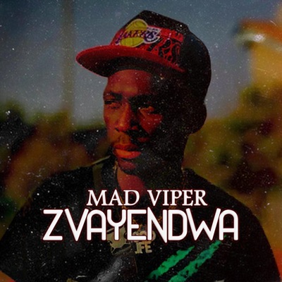 Mad Viper (Zvayendwa Khonangale Diss) (feat. Mad Viper, Dj Grantz & Tafjonz) - Single