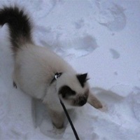 mess - Single - rewind