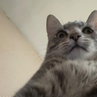 Bymyself - Single - NRealistic