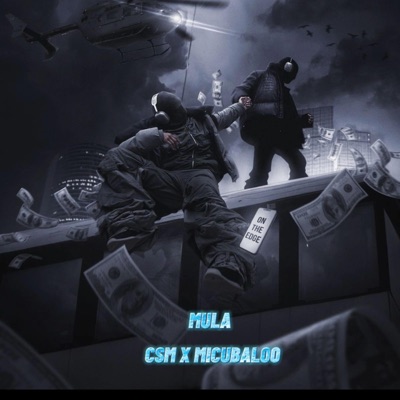MULA (feat. MICUBALOO) - Single