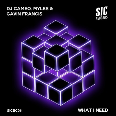 What I Need - Single