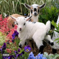 77*99! - Bevie Hill & Dxvl