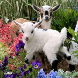 (dummyfreestyle)!* Bevie Hill & Dxvl