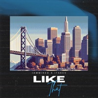 Like That (Single) - Single - IAMMIKEO & itsKev