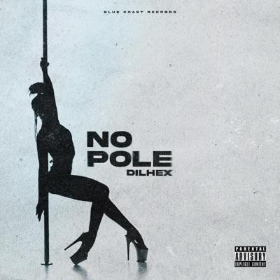 No Pole (feat. Blue Coast Records) - Single