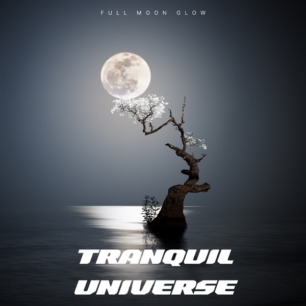 Tranquil Universe: 432 Hz Melodies of Inner Peace