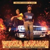 Wenza Kanjani (feat. 2woshort & TNK MusiQ & BoontleRSA) - Single