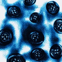 DON'T KILL MY VIBE! (Instrumental) - Single - prodbyultra07' & Roddry2007