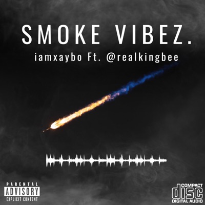 SMOKE VIBEZ. (feat. Realkingbee) - Single