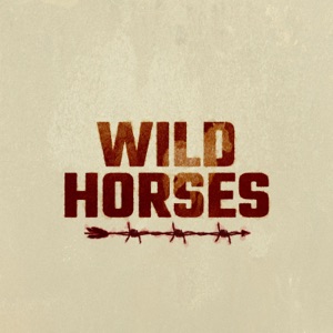 Ashes & Arrows - Wild Horses - Line Dance Chorégraphe