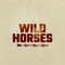 Wild Horses - Ashes & Arrows lyrics