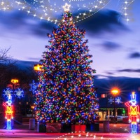 Most Wanted Christmas 2025 vol.4 - dj Crinyx